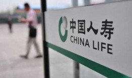 人寿保险最新爆料,揭秘保险理赔内幕与行业变革