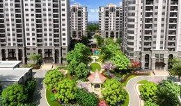 绿洲小区爆料最新消息新闻,揭秘小区神秘事件真相！