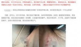 王宝强最新消息保姆爆料,揭秘明星家庭背后的惊人真相