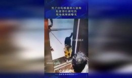 狼狗最新爆料视频,揭秘神秘事件内幕