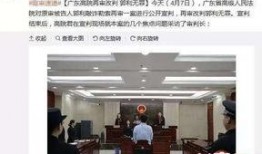 玉林新电梯爆料案件最新,真相大白，疑云散去