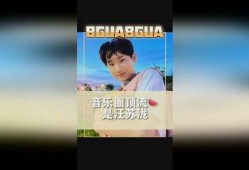 刘大锤最新爆料汪苏泷直播,揭秘明星直播背后的故事