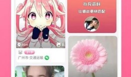 最新至臻爆料视频下载,最新科技动态一网打尽