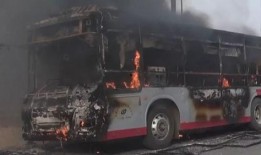 石家庄逆行爆料事件最新,真相与反思交织的街头冲突