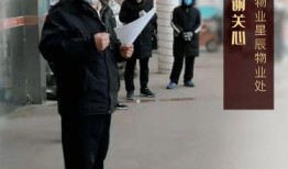 石家庄逆行爆料事件最新,真相与反思交织的街头冲突